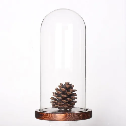 Vista 2 de Vitrina de cristal Dome Cloche - Vitrina de mesa (base de madera de café, diámetro 3.5 x 7.4 pulgadas)
