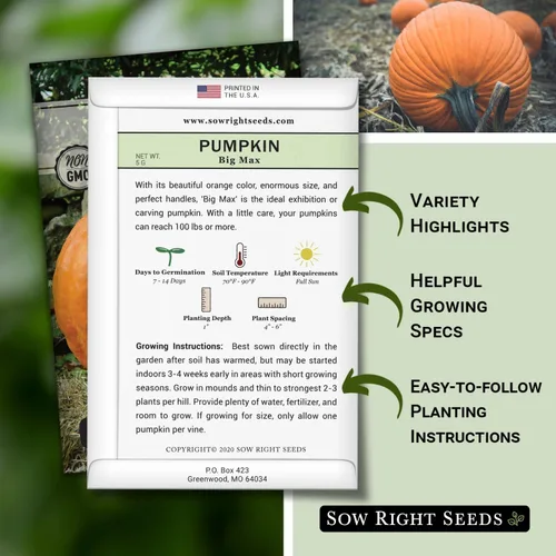 Vista 2 de Sow Right Seeds - Semillas de calabaza Big Max para plantar - Paquete de reliquia sin OMG con instrucciones para plantar un huerto casero - Variedad