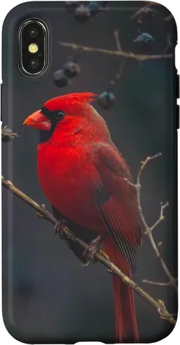 Vista 5 de Funda para iPhone 16 Cardinal Bird