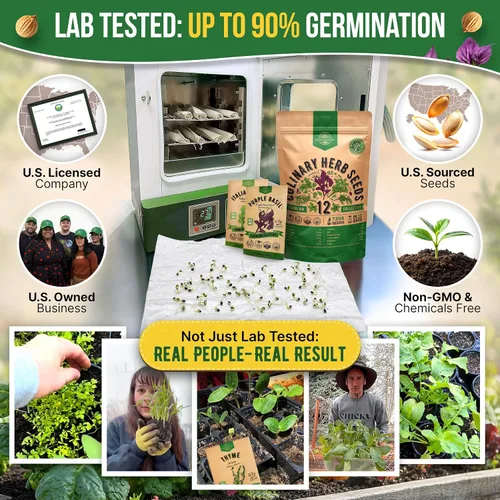 Vista 2 de Organo Republic Paquete variado de 12 semillas de hierbas culinarias - 7,355+ semillas criollas, sin transgénicos, para jardinería en interiores