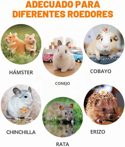 Vista 6 de Sofier Timothy Heno Treats - Juguetes para conejo, conejillo de indias, masticables naturales para dientes hechos a mano para conejos, masticables