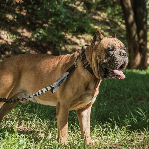 Vista 8 de EXCELLENT ELITE SPANKER Collar táctico para perro, ajustable, militar, resistente, con hebilla de metal y asa de control (negro)