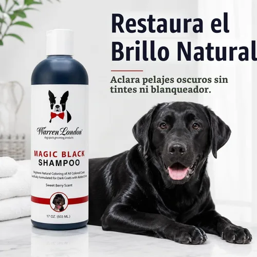 Vista 2 de Warren London Magic Black Dog Shampoo - Champú iluminador para abrigos oscuros, aroma a bayas, seguro para cachorros y gatos, fabricado en Estados
