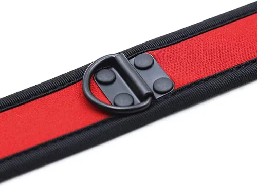 Vista 5 de HOT DREAM Gargantilla personalizada de neopreno para cachorros para hombres y mujeres