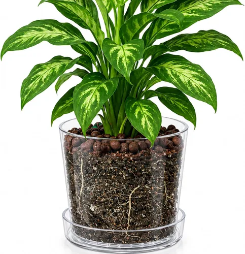 Vista 11 de Maceta Phoenix Vine de 3.5 pulgadas de acrílico transparente con bandeja, maceta para orquídeas con agujeros de drenaje, platillo profundo