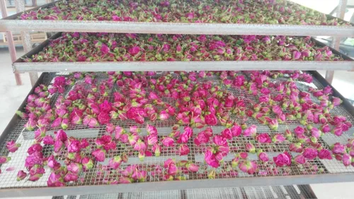 Vista 5 de TooGet Fragante Pétalos de Rosa Naturales, Capullos de Rosa Roja Orgánicos, Flores Secas al Por Mayor, Grado Alimentario Culinario - 4 Onzas