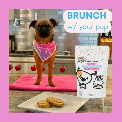 Vista 7 de BUDDY BUDDER Panqueques de cumpleaños de Bash Pooch - Regalo divertido, brunch con tu cachorro, o apilarlos para cumpleaños de perro con vela, 100%
