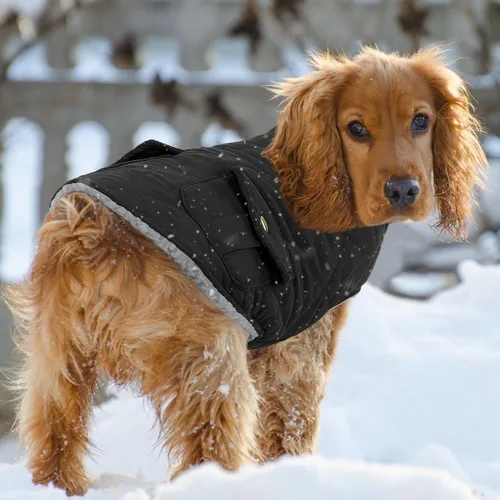 Vista 7 de Queenmore Abrigo de invierno para perro, chaqueta acolchada cálida e impermeable, con forro de felpa, chaleco térmico para clima frío, para perros