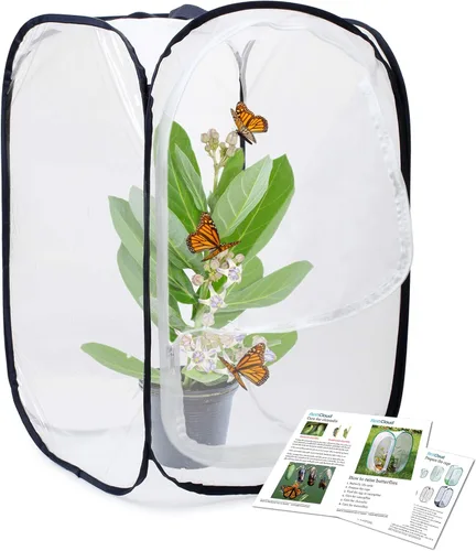 Vista 11 de RESTCLOUD Jaula de hábitat para insectos y mariposas, 12 x 12 x 12 in