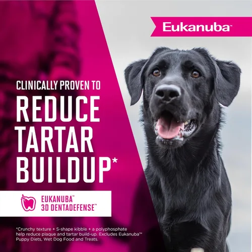 Vista 10 de Eukanuba Alimento seco para perros adultos de raza media, bolsa de 16 libras para adultos con cordero y arroz, lata de 13.2 onzas (12 unidades)