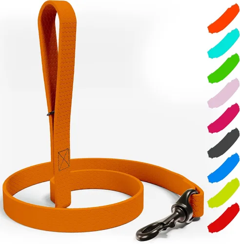 Vista 11 de Correa impermeable para perro, resistente de 6 pies, fabricada en Estados Unidos, color azul