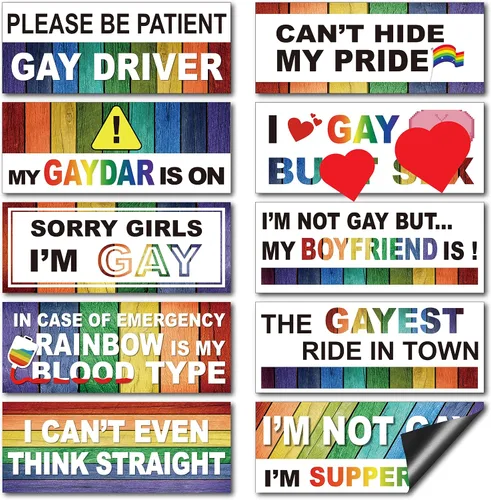 Vista 8 de Frienda 10 piezas de calcomanías para parachoques divertidas con pegatinas LGBT arcoíris, pegatinas para parachoques de broma para autos, accesorios