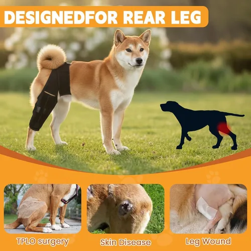 Vista 6 de Dog Knee Brace for Hind Leg – Adjustable Rear Leg Support with 2 PP Resin Bars, Helps Torn ACL, Ligament Injuries, Luxating Patella & Hip Dysplasia