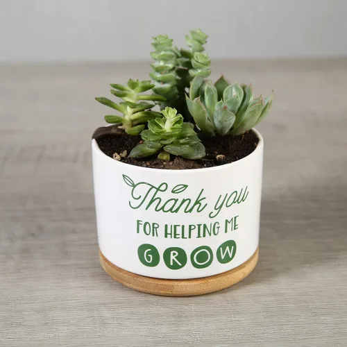 Vista 5 de DOMG Regalo de Apreciación para Maestros, Maceta de Cerámica para Suculentas Pequeña Maceta de Flores para Uso en Interior y Exterior, Gracias por