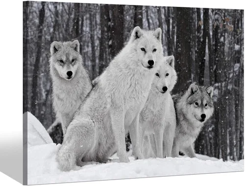 Vista 7 de Sea Whisper - Lienzo de arte de pared de vida silvestre, lobo en la hierba con ojos firmes, naturaleza, bosque, escena de parque, pintura artística