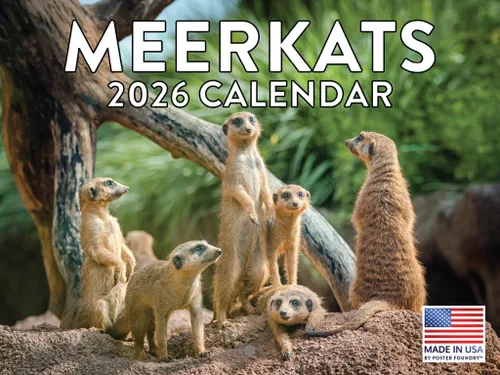 Vista 156 de Calendario mensual de pared de alpaca 2025 Fabricado en Estados Unidos