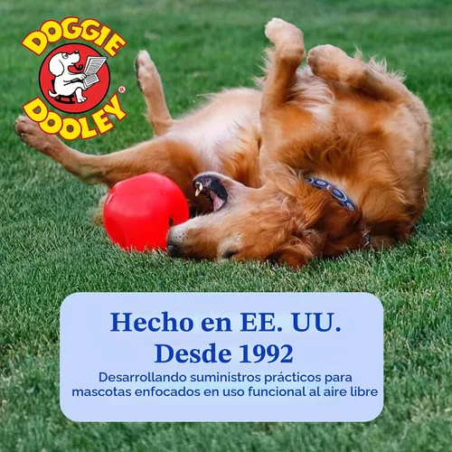 Vista 8 de Prácticamente indestructible (duro), mejores pelota para perros