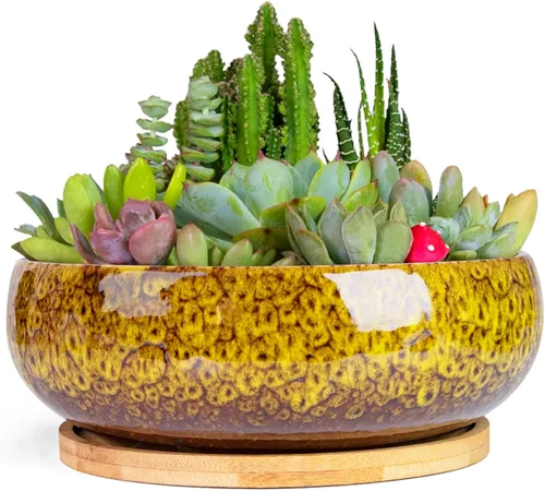Vista 6 de ARTKETTY Macetas para Suculentas, Macetas Grandes para Suculentas de 8 Pulgadas con Drenaje, Maceta de Cerámica para Bonsái con Bandeja para Plantas