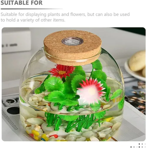 Vista 2 de PATKAW Tarro de terrario de vidrio para plantas suculentas, terrario, botella ecológica con tapa de corcho para suculenta helecho, musgo, plantas