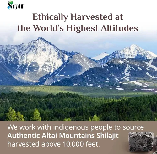 Vista 2 de Sayan Resina Shilajit pura de 0.9 onzas (0.88 oz), potente suplemento orgánico de ácido fúlvico, apoya el sistema inmunológico, la memoria