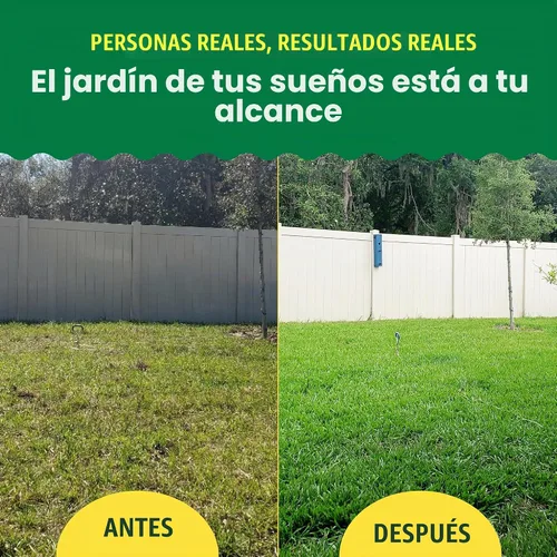 Vista 3 de Semillas y fertilizantes de hierba Sunday Northwest con festuca alta, sol