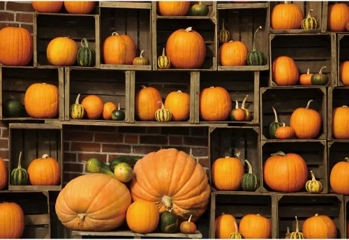 Vista 8 de Telón de fondo de otoño de 5 x 3 pies para sesión de fotos, tablero de madera de otoño para fotografía, decoración de pared de Acción de Gracias