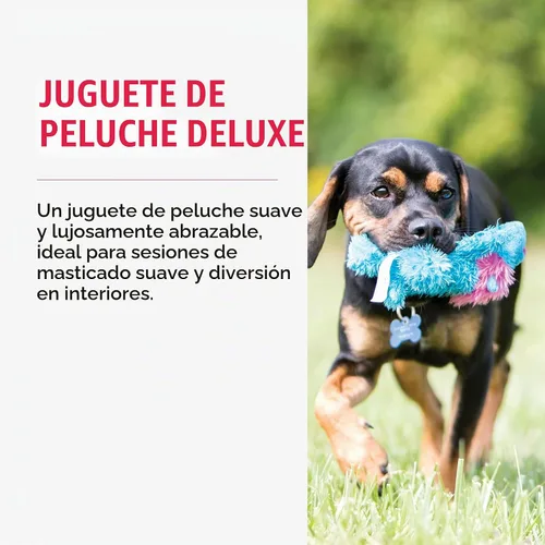 Vista 3 de KONG Ali Alligator Cozie - Juguete para perro, pequeño
