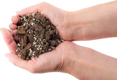Vista 2 de Gardenera Mezcla prémium para macetas Aroid - 2 cuartos de galón - Mezcla libre de tierra para Aroids - Medio de cultivo para plantas