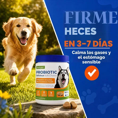 Vista 5 de Probióticos para perros, masticables digestivos, calabaza