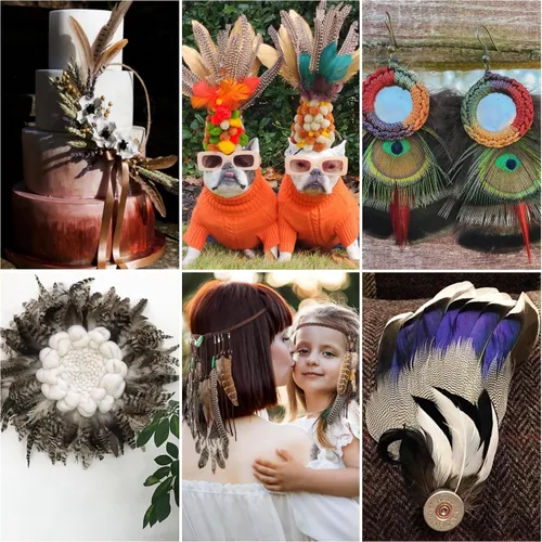 Vista 6 de Holmgren 24 piezas de plumas naturales al por mayor - 6 estilos surtidos de pavo real, faisán, pavo para manualidades, joyería DIY, sombreros
