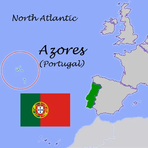 Vista 4 de A'S do MAR, Atún sólido en aceite de oliva (paquete de 3), importado de Portugal, 7.05 oz (cada uno)