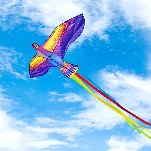 Vista 2 de Mint’s Colorful Life Large Kite for Kids and Adults, Easy to Fly Single Line Beach Kites, Comes with 300ft String Handle