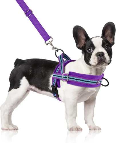 Vista 17 de SlowTon - Juego de arnés y correa para perros pequeños sin tirones, chaleco suave ajustable para cachorros para el cuello y el pecho, arnés