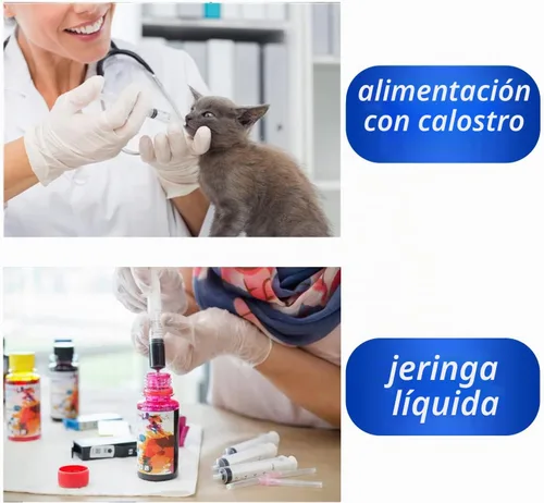 Vista 4 de Paquete de 20 jeringas de 1ml con tapa para líquido, jeringas pequeñas de plástico de 1cc con tapa, no estériles, sin aguja