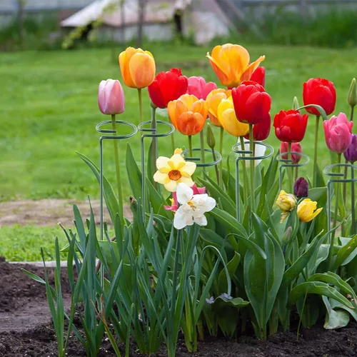 Vista 8 de Thealyn Paquete de 12 estacas de soporte para plantas de 16 pulgadas, aros de metal de un solo tallo de soporte de flores, estacas de plantas