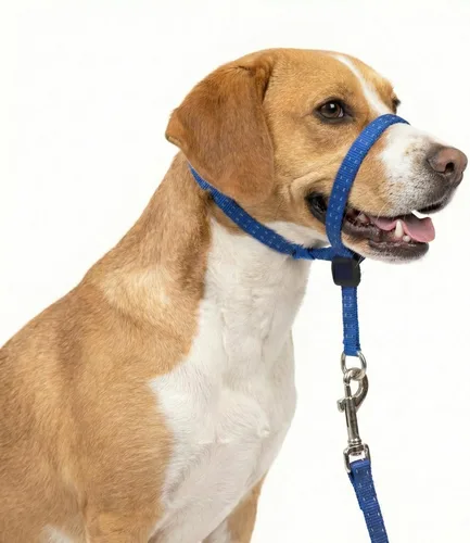 Vista 7 de Collar para la cabeza para perros, acolchado extra suave, reflectante, sin tirones, líder suave para perros con correa de nailon duradera, mango