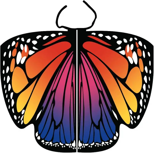Vista 2 de Capa de alas de mariposa de Halloween para mujer, disfraz de mariposa de Halloween con diadema de antenas