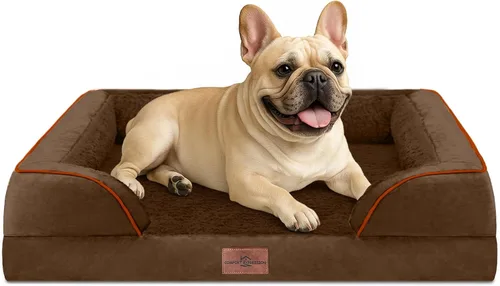Vista 187 de Comfort Expression - Cama ortopédica para perros medianos, 28 x 19 pulgadas, cama impermeable y de apoyo de espuma con cojines removibles, sofá