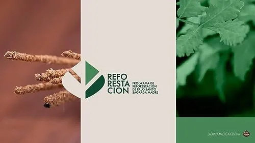 Vista 5 de Sagrada Madre Palitos de incienso Palo Santo – Varillas de manchas naturales para limpieza, meditación, relajación – Vegano, combustión lenta, bajo
