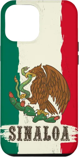 Vista 26 de Sinaloa Mexico Flag Sinaloa Case for iPhone 17