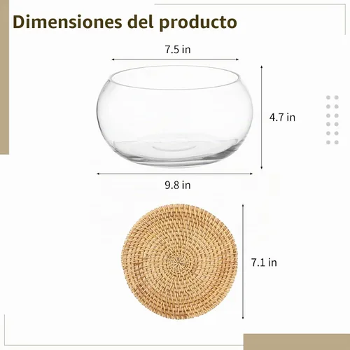 Vista 5 de Lotus - Maceta hidropónica de vidrio transparente de 9.8 pulgadas