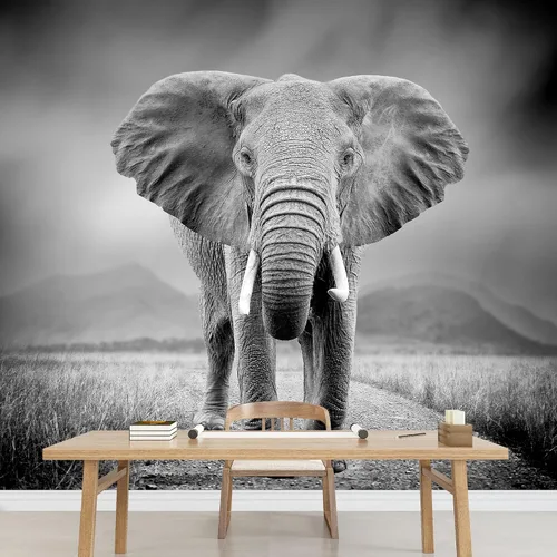 Vista 34 de SIGNWIN Mural de pared Un pájaro grande, papel tapiz autoadhesivo extraíble, decoración de pared para dormitorio, sala de estar, 66 x 96 pulgadas