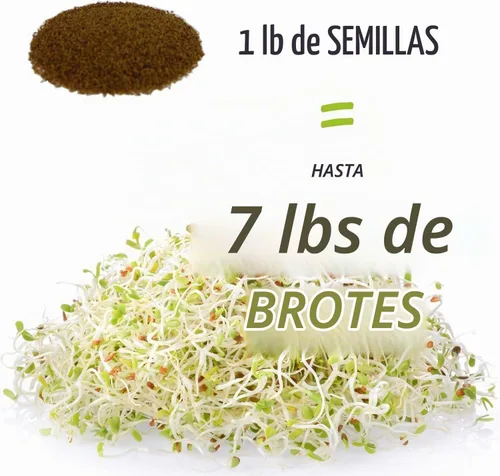 Vista 3 de Handy Pantry Surtidos de semillas orgánicas para germinar – Microgreens, paquete variado de semillas de brotes (paquete de 12 – premedidas)