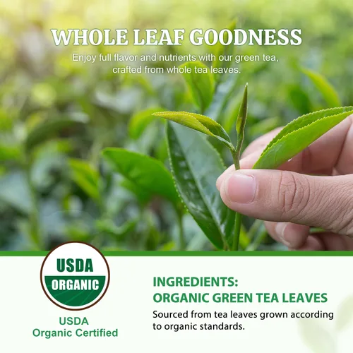 Vista 6 de Soeos Té verde orgánico, 6.3 oz (180 g), 100 bolsas de té, refrescante y fragante, de origen sostenible, ideal para té caliente o helado, frescura