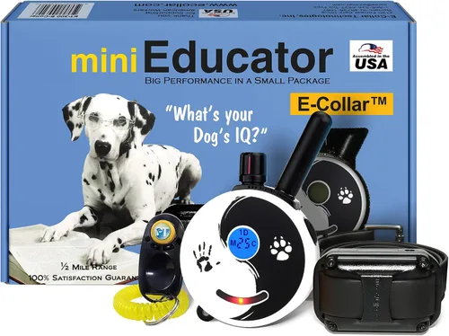 Vista 12 de Educator ET-302 Collar Mini Negro E para Adiestramiento de Perros con Control Remoto - Alcance de 1/2 Milla, Resistente al Agua, 100 Niveles