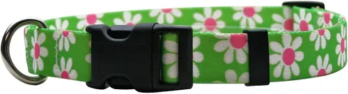 Vista 10 de Collar de perro Green Daisy - Tamaño gato de 8 a 12 pulgadas de largo Verde (Green Daisy)