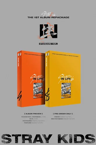 Vista 2 de Stray Kids - ENTRADAS (In Life) [Standard Ver. - Juego completo A+B] (1er álbum reempaque) [Pre-Order] 2CD+2Photobook+2 Póster plegado+2 Beneficios