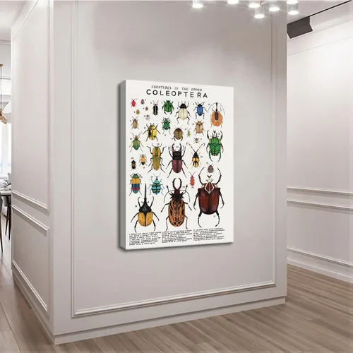 Vista 2 de Póster de lienzo de animales para pared, imágenes de animales, guía de coleópteros, insectos, escarabajos, impresiones de conocimiento, estética