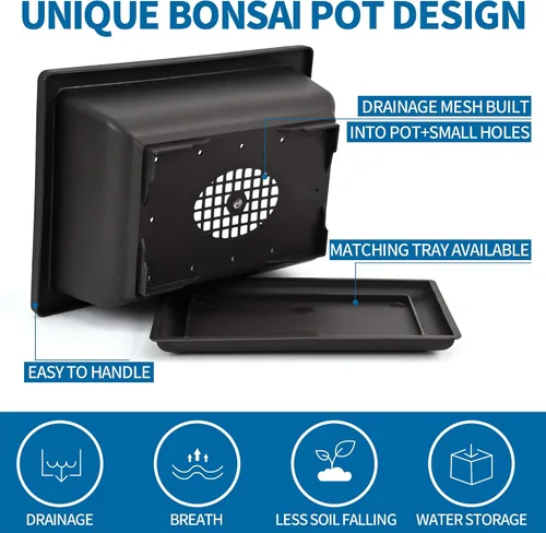 Vista 4 de Kit de inicio de Bonsái Sproutix, 5 semillas que crecen en Acacia, Glicinia, Sakura, Arce Rojo y Pino Negro, Incluye herramientas de jardinería