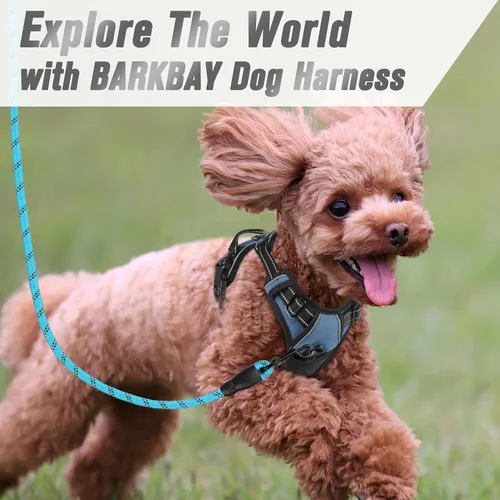 Vista 231 de BARKBAY - Arnés para perro sin tirones con clip frontal, material resistente y reflectante, asa de fácil control para pasear perros grandes